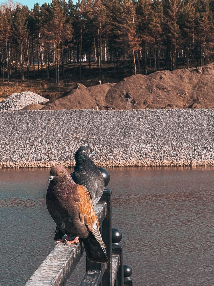 Photograph by Ирина Павлова