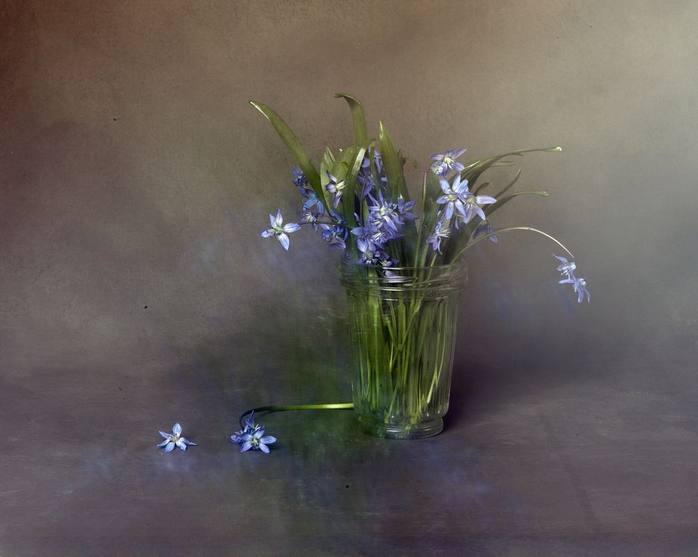 Photograph by Туева Наталья