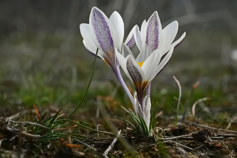 Photograph by Наталья Баранова