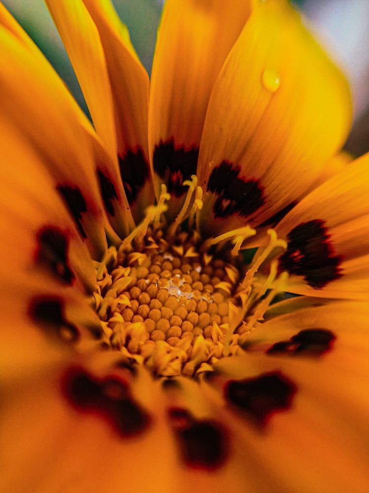 Photo #12144312