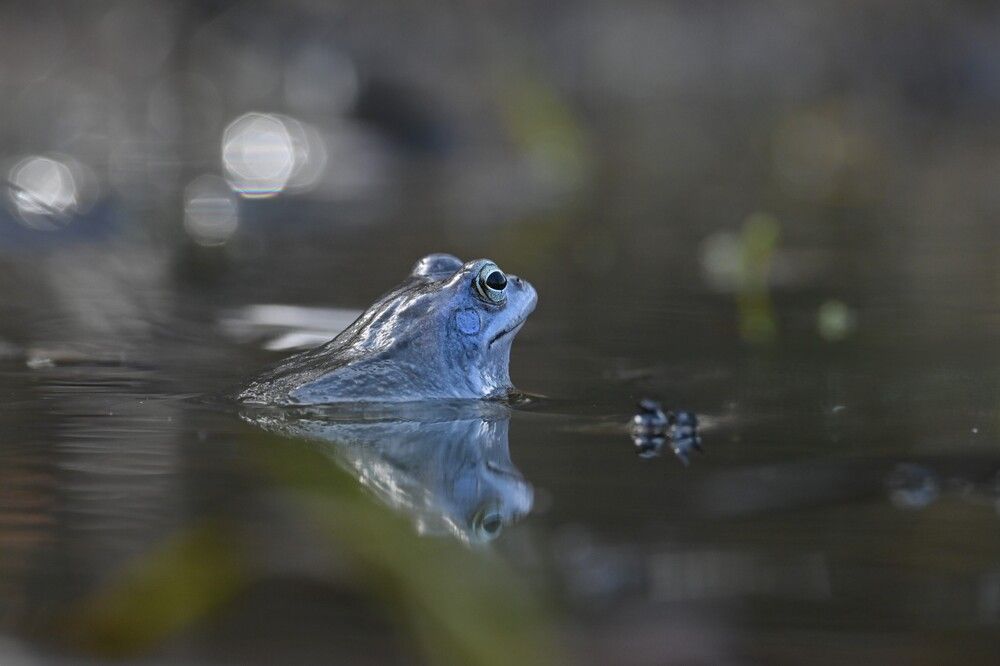 Photograph by IRINA FILIPPOVA