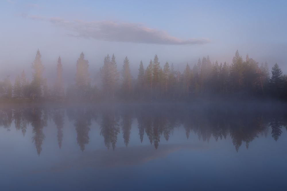 Photograph by Мария Казакова