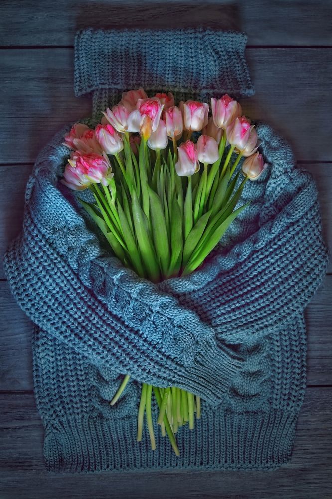 Photograph by Татьяна Бравая