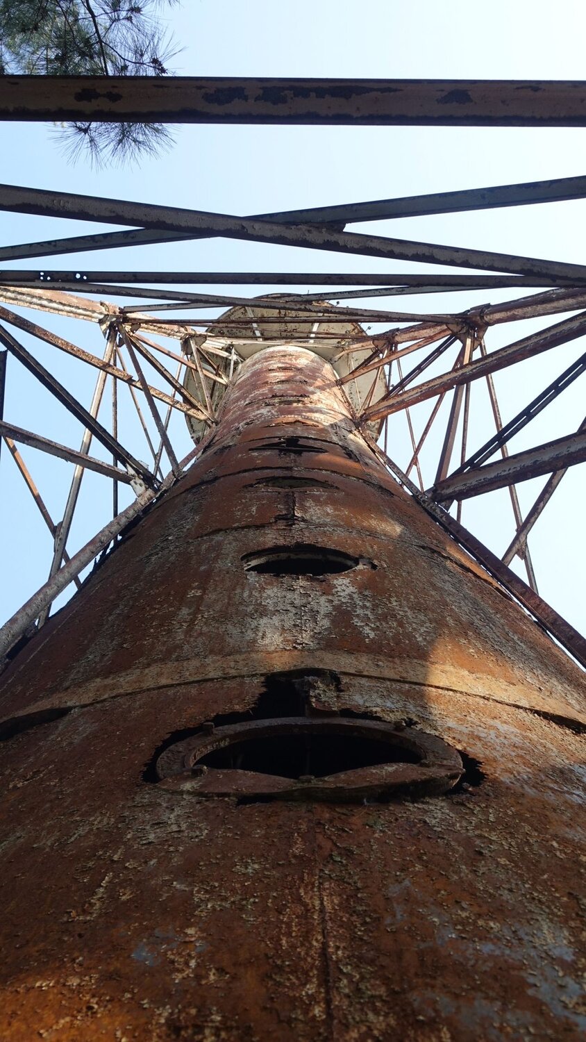 Photo #12144549