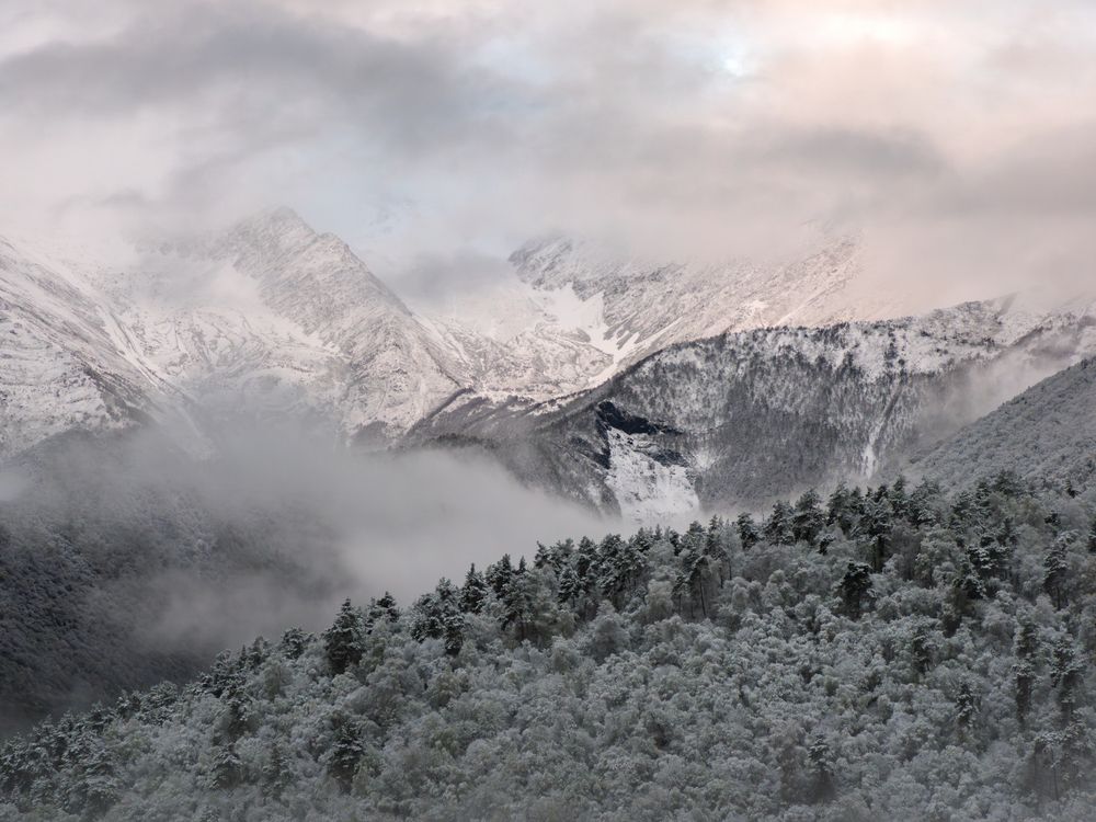 Photograph by Галина Михоношина