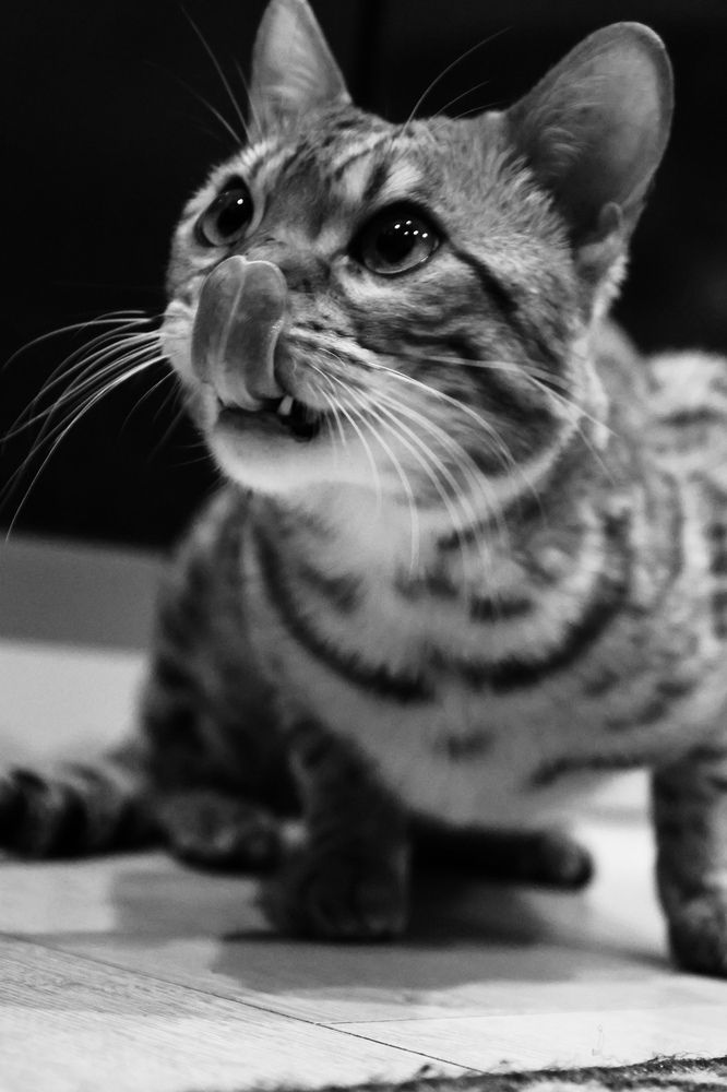 Photograph by Наталия Манакова