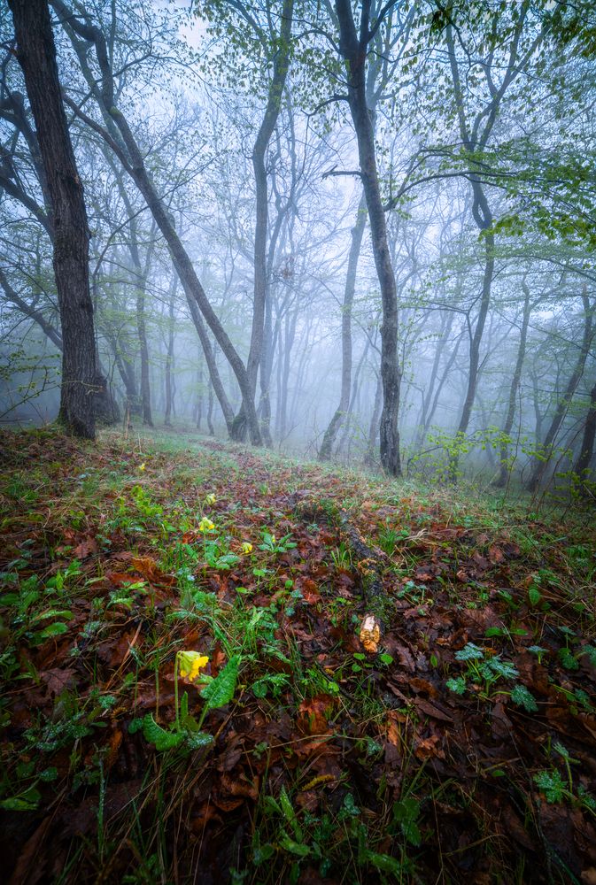 Photograph by Saba Gloveli