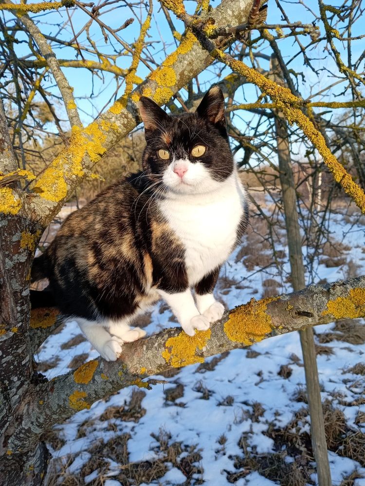 Photograph by Алексей Крукович