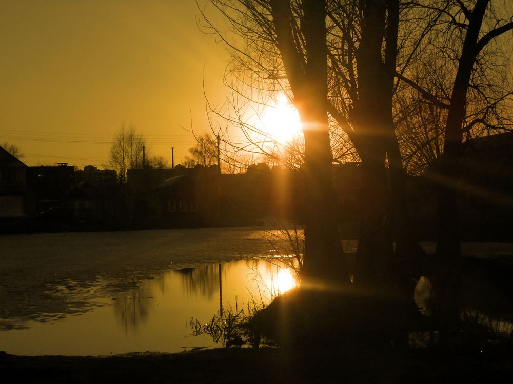 Photograph by Elena Stasuk