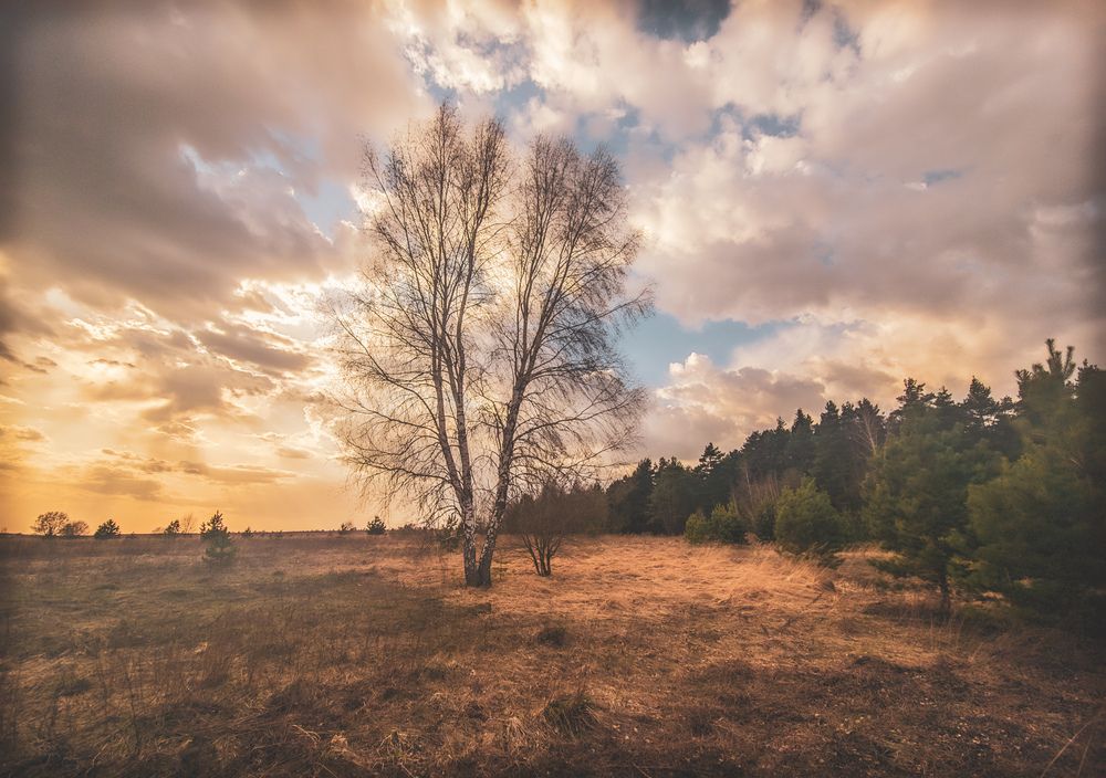 Photograph by Кирилл Сидоров