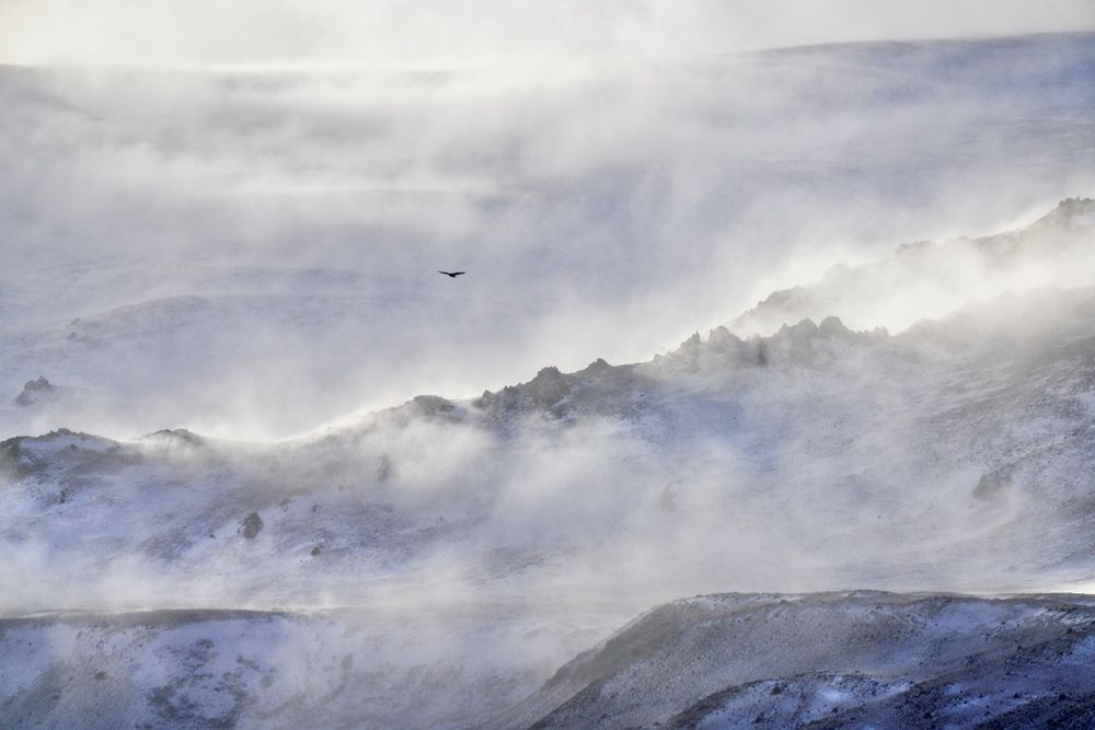 Photograph by Кузнецов Андрей