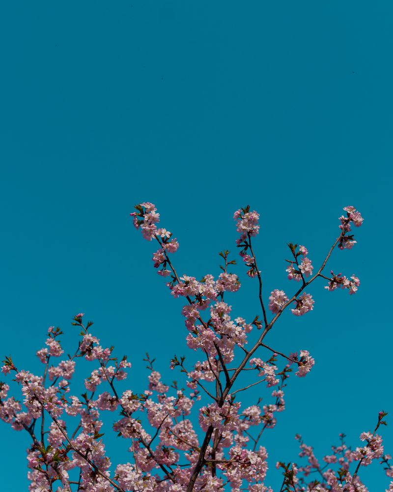 Photograph by Siarhei Makarski