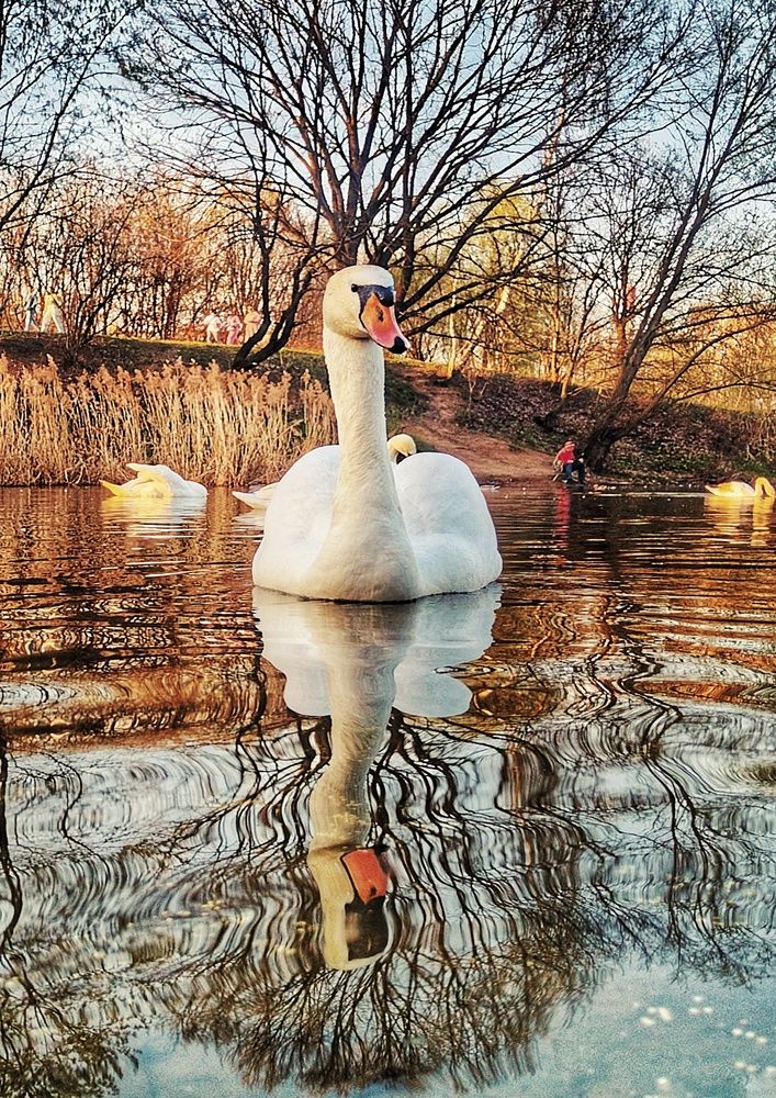 Photograph by мария Жигалова