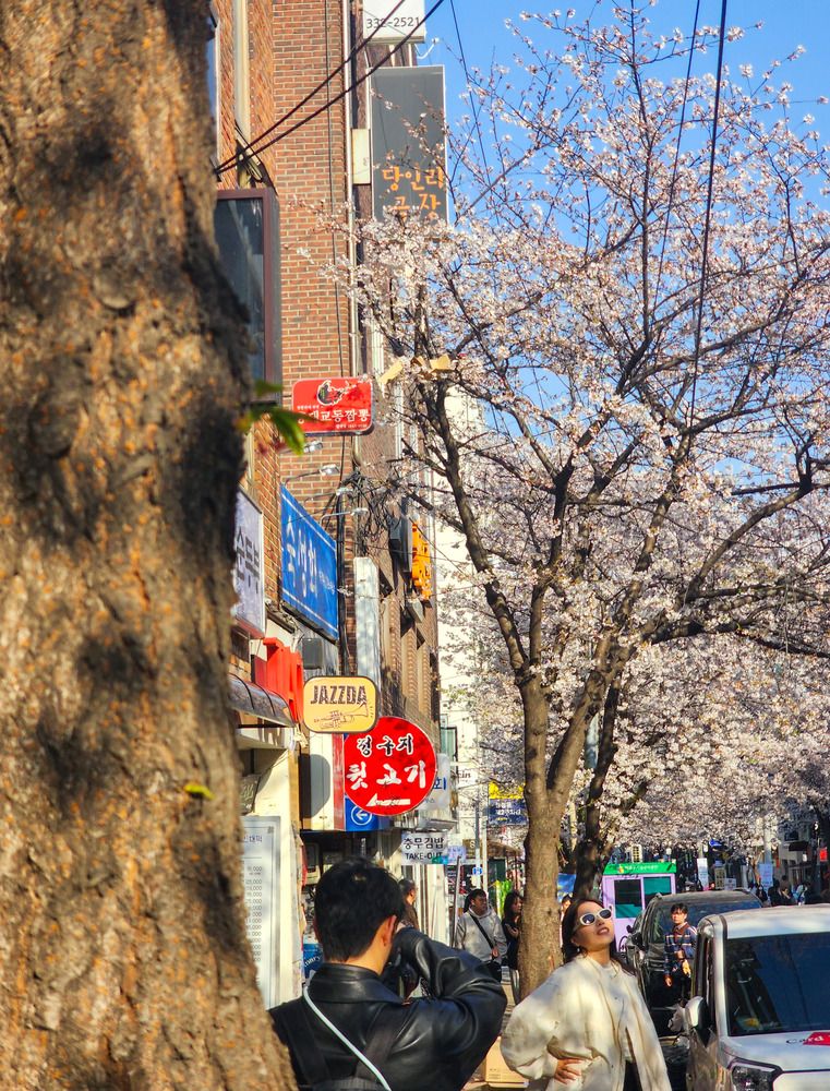 Photo #12145365