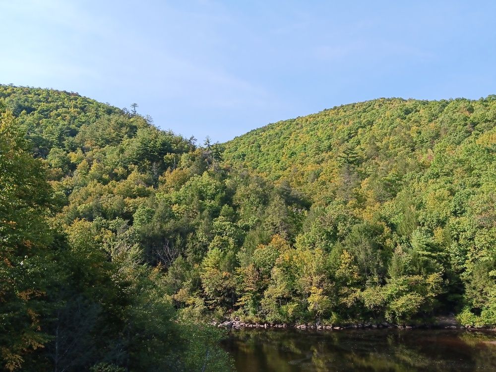 Photo #12145436