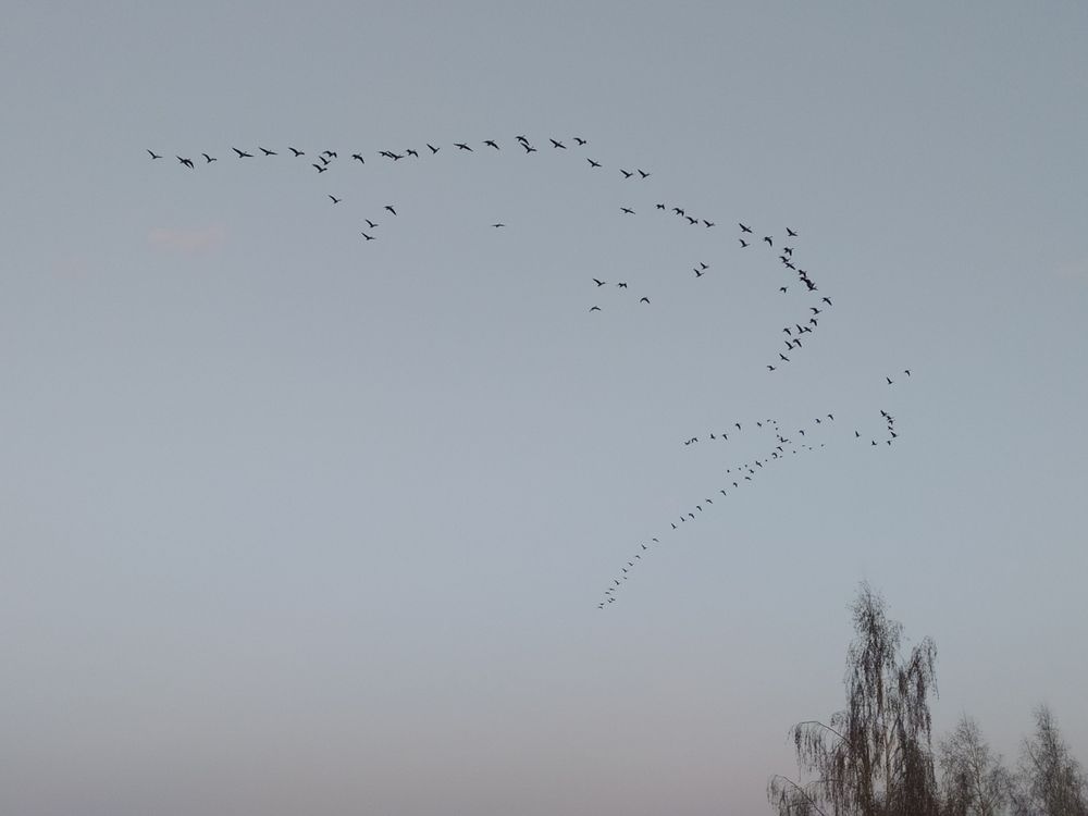 Photograph by Юрий Гордеев