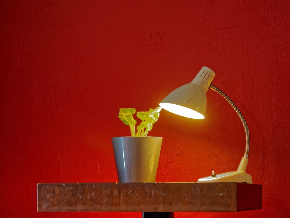 Photograph by Андрей Панин