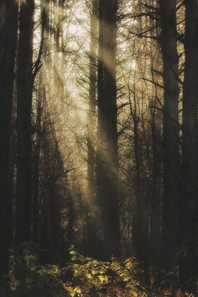 Photograph by Юлия Лушникова