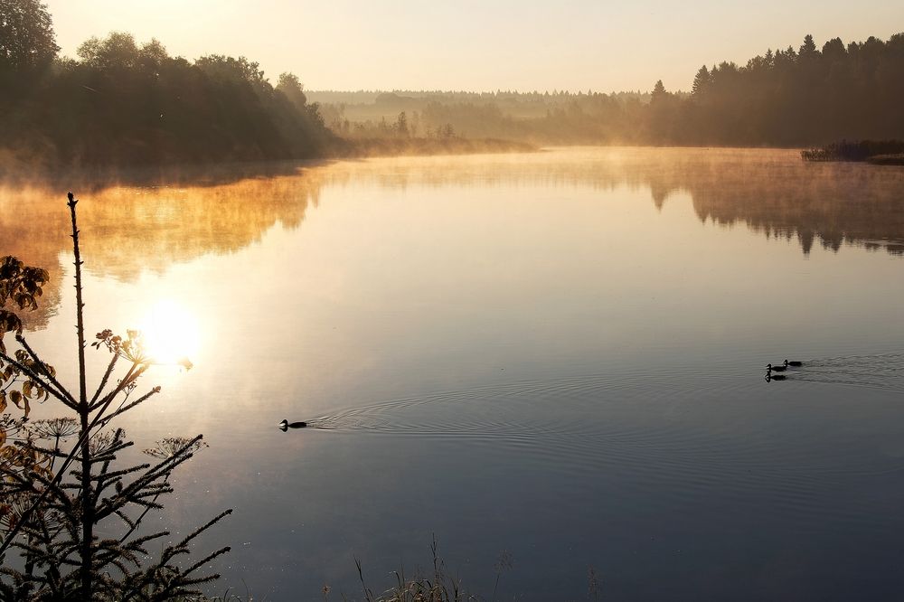 Photograph by Михаил Косолапов