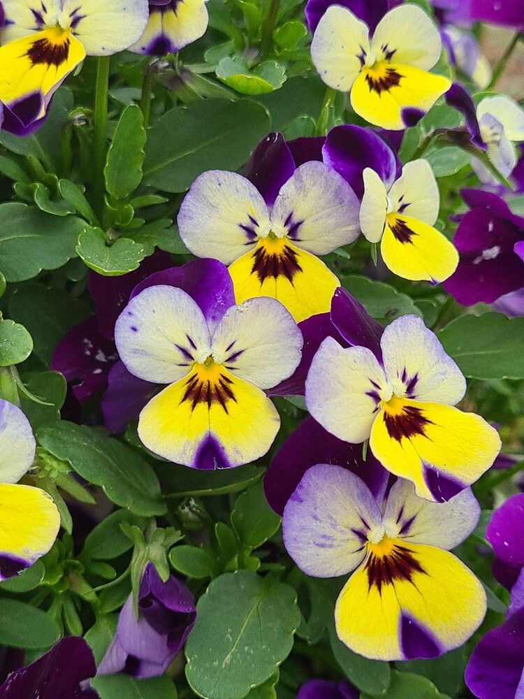 Photograph by Gloria casillas