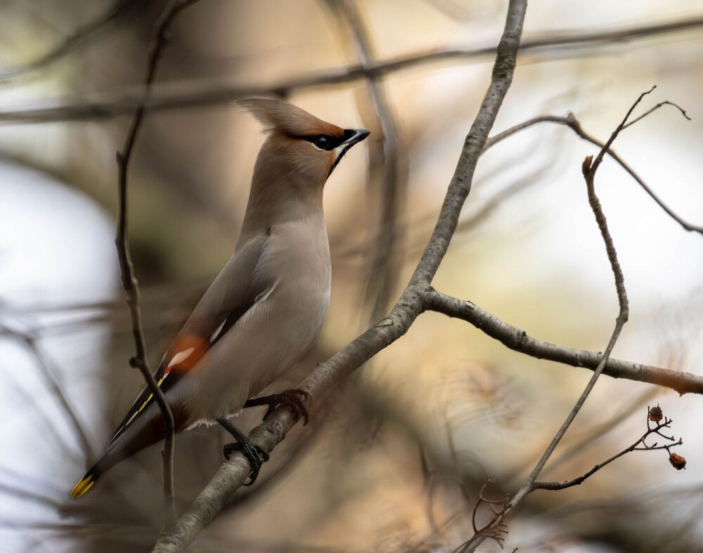 Photograph by Vladimir Voronyuk