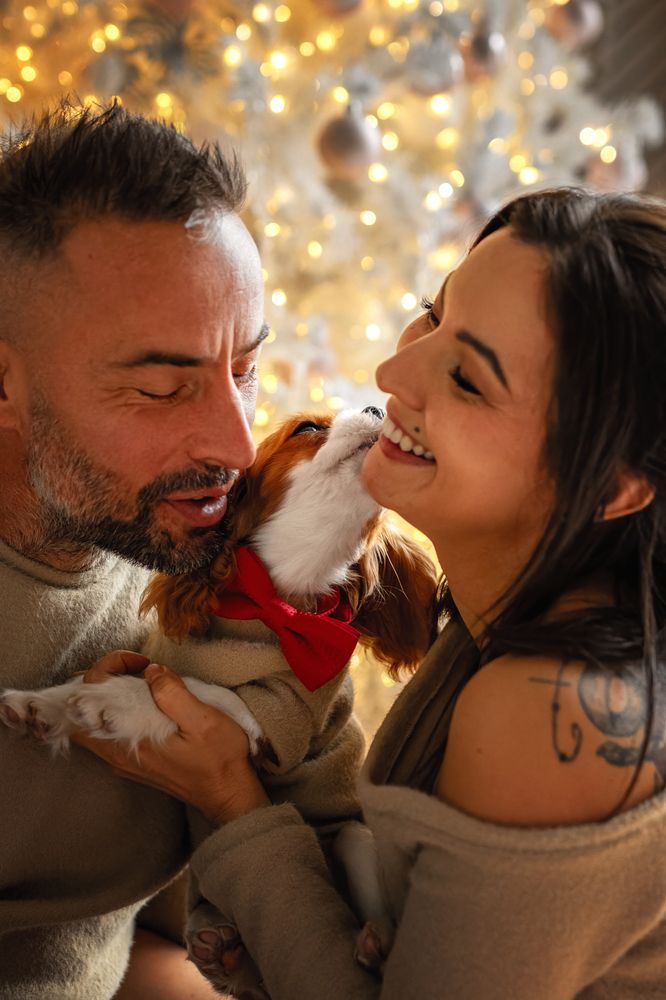 Photograph by Зубкова Юлия