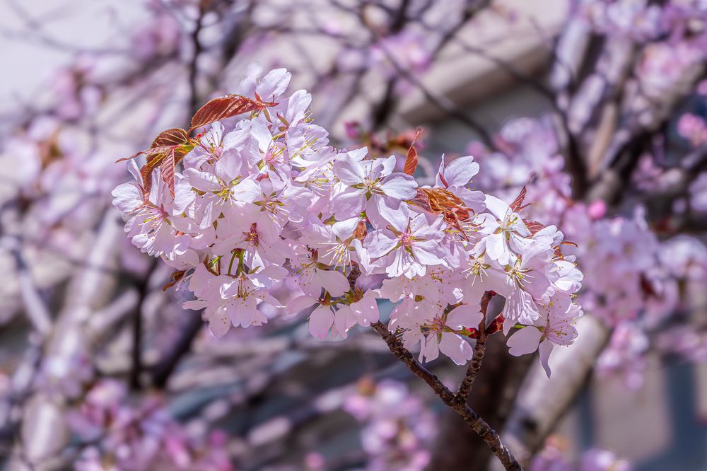 Photograph by Никита Борзов