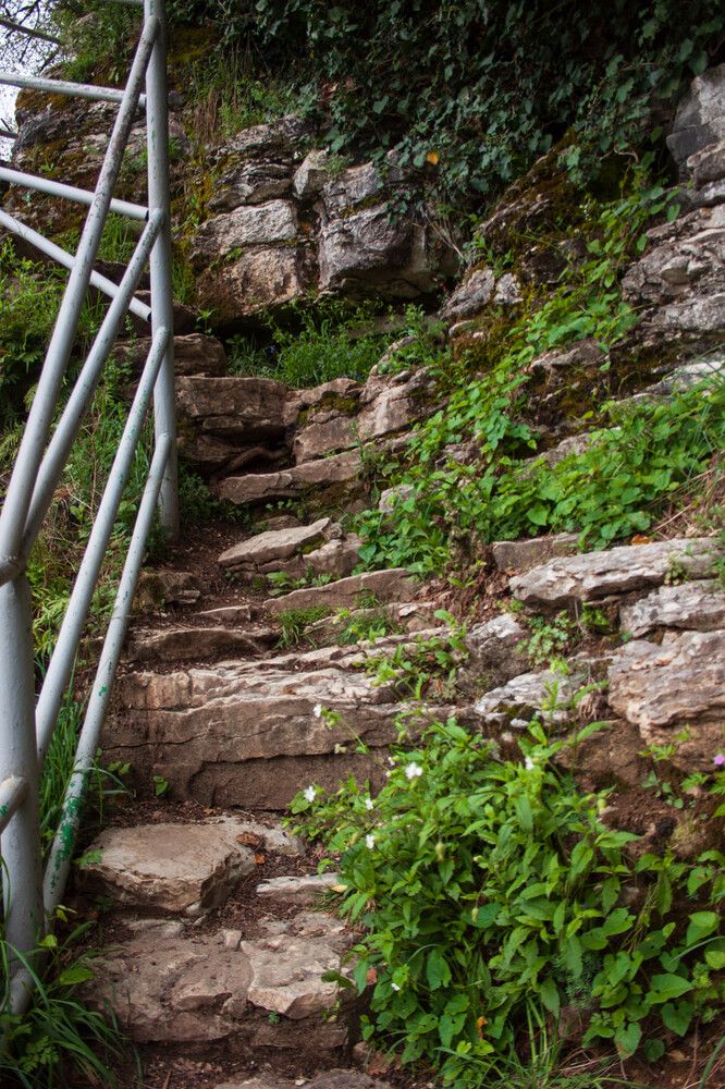 Photograph by Елена Казаренко