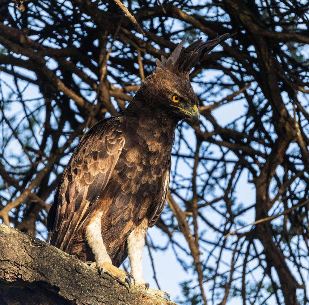 Фотография автора Илья Поляк