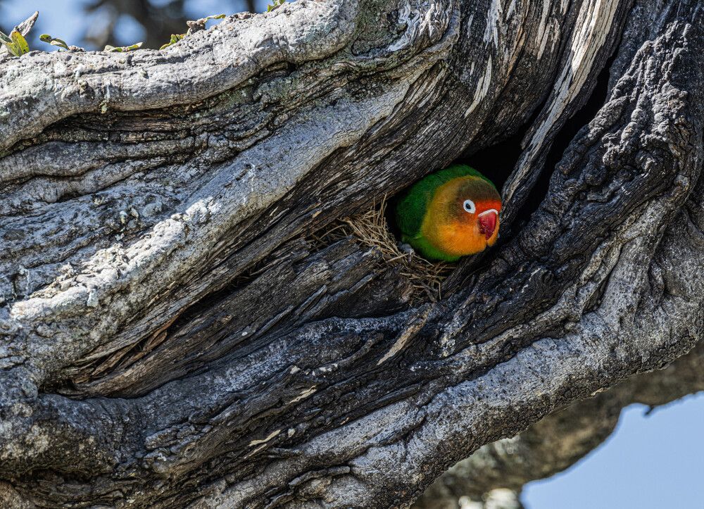 Фотография автора Илья Поляк