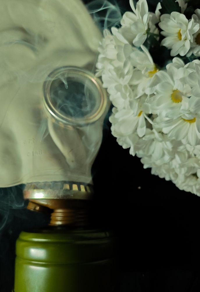 Photograph by Людмила Сарыцина