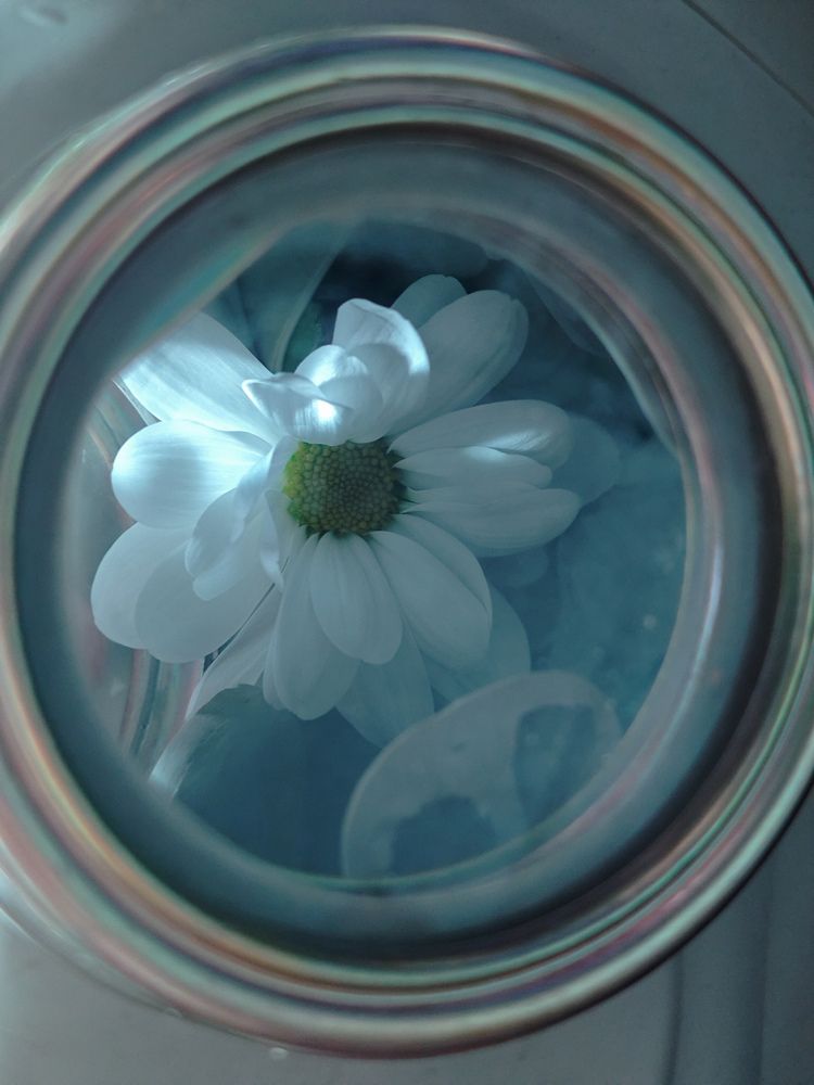 Photograph by Людмила Сарыцина