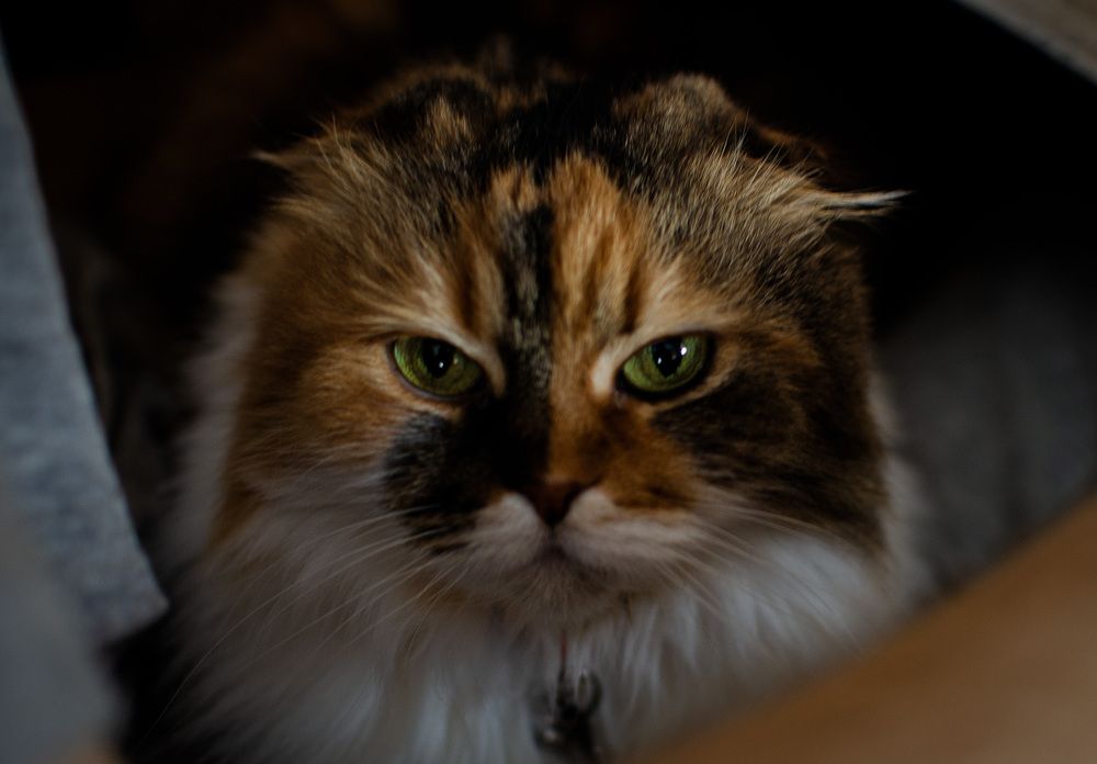 Photograph by Ганна Кліпіна