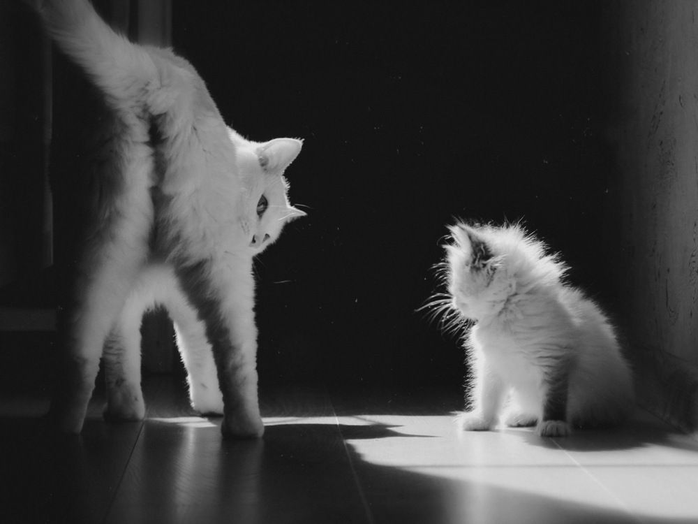 Фотография автора Евгения Никишина