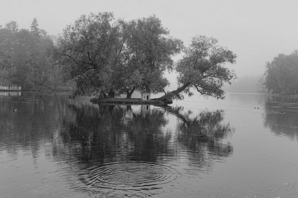 Ближний круг туманного октября