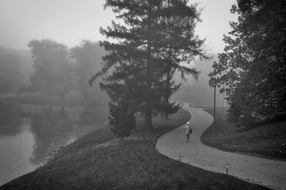 Сад петляющих тропок