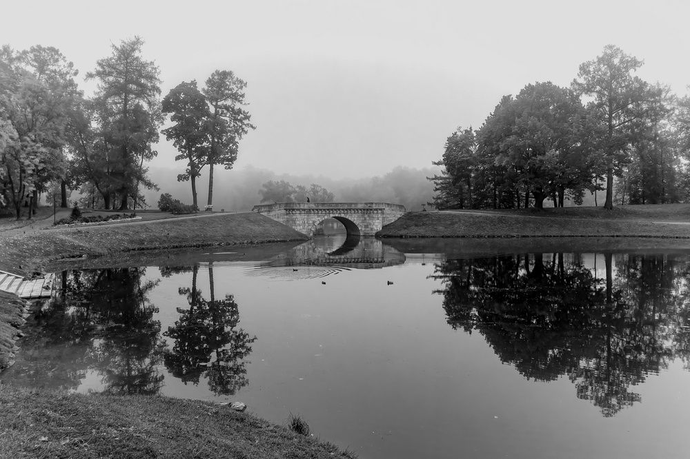 В этом году не в Мариенбаде