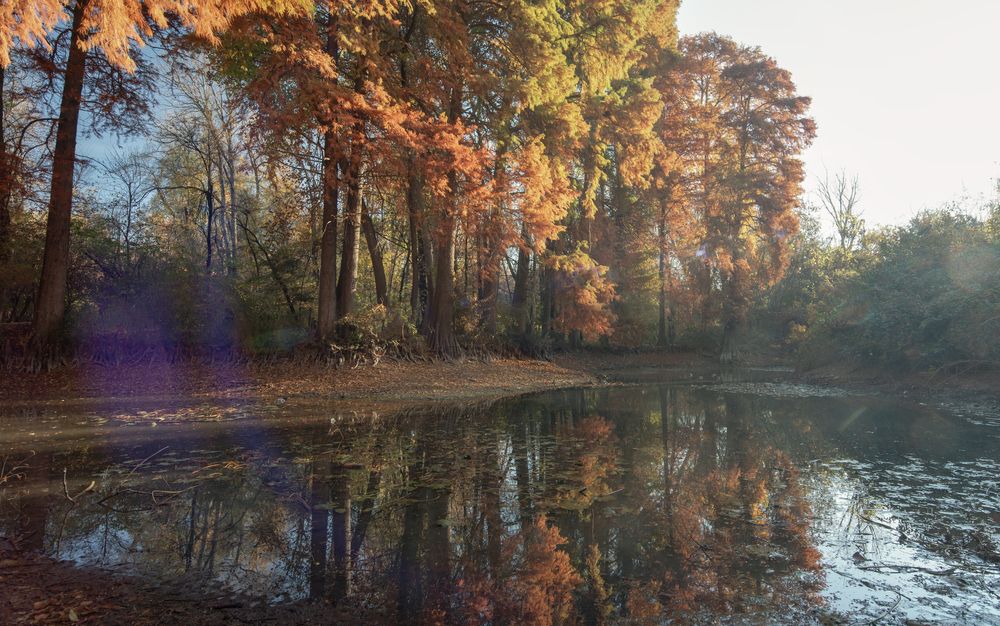 Photograph by Abdulrahman Sawalha