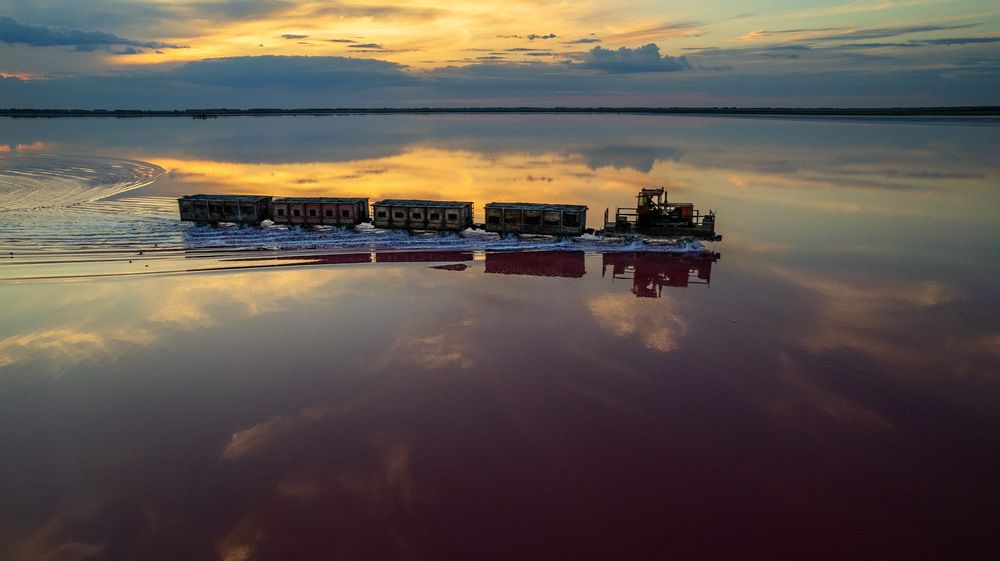 Фотография автора Totoro