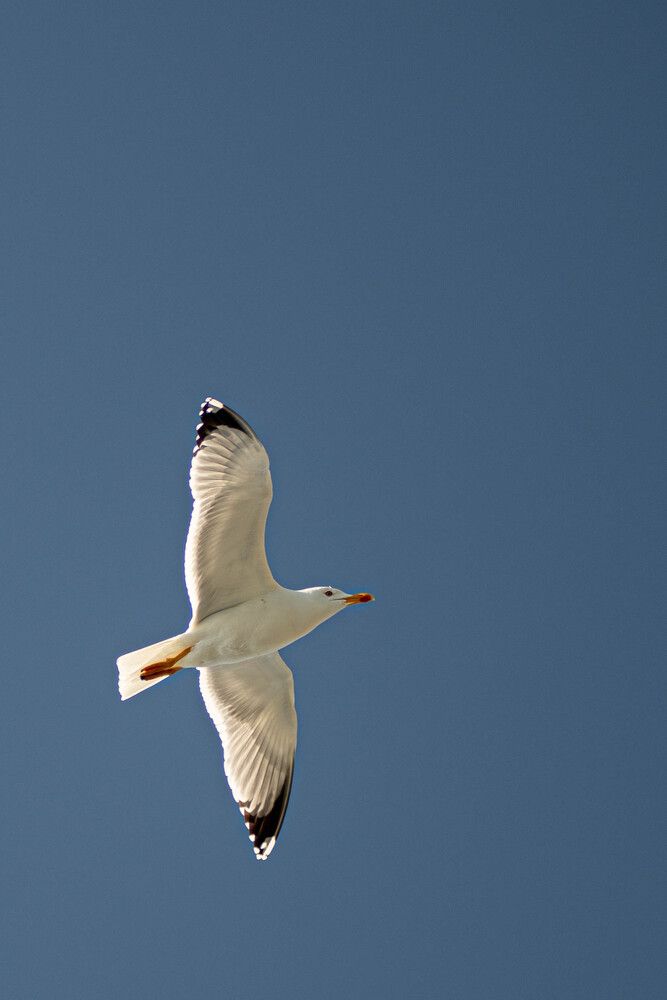 Photograph by Андрей Савёлов