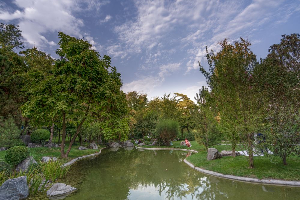 Photograph by Abdulrahman Sawalha