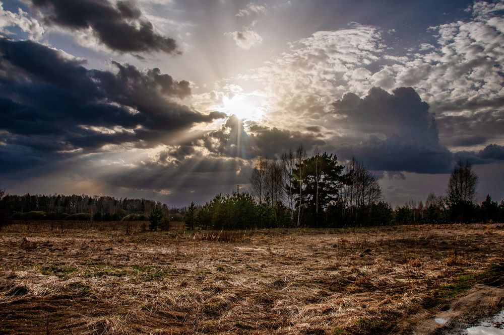 Photograph by Елена Ефимова