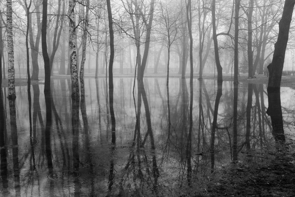 Photograph by Сергей Григорьев