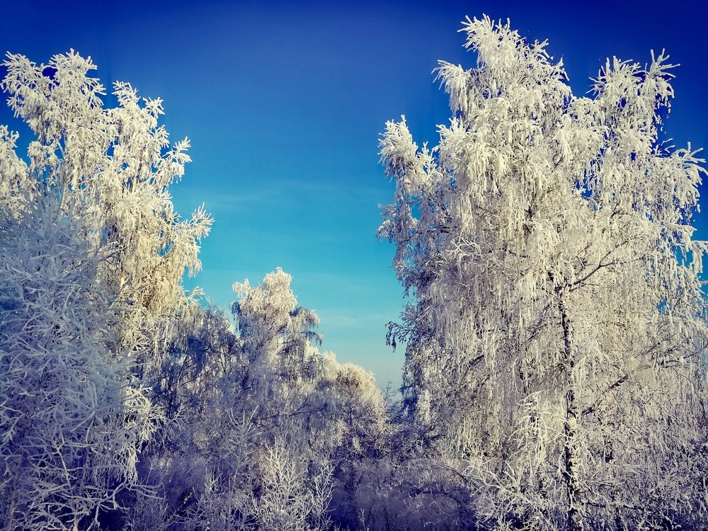 Photograph by Юрий Жданов