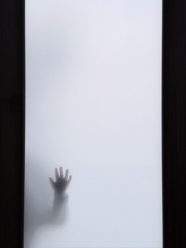 Фотография автора Елена Меньшикова