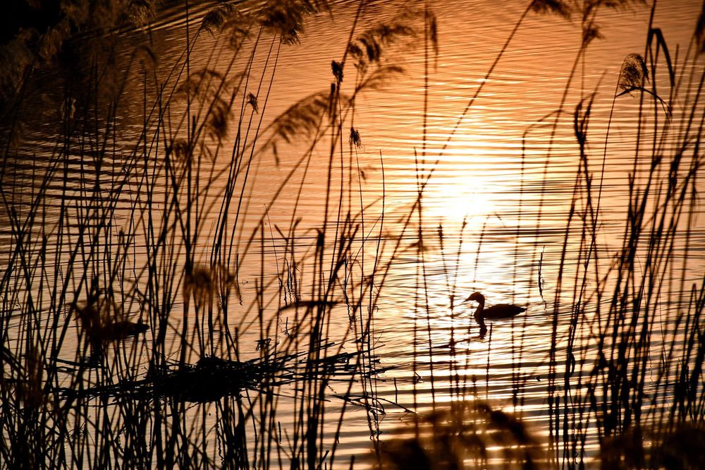 Photograph by Екатерина