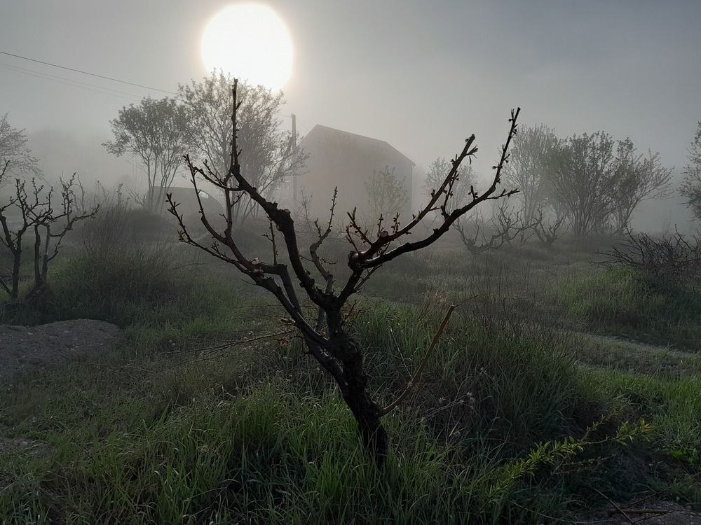 Photograph by Татьяна Ситникова