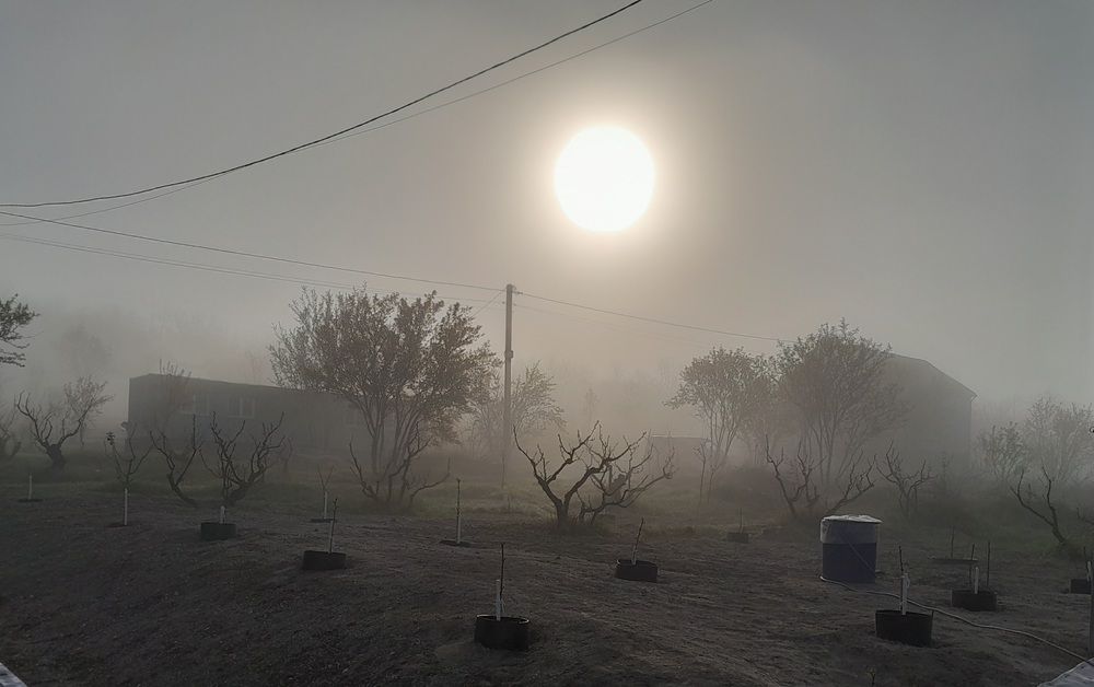 Туманно утро.