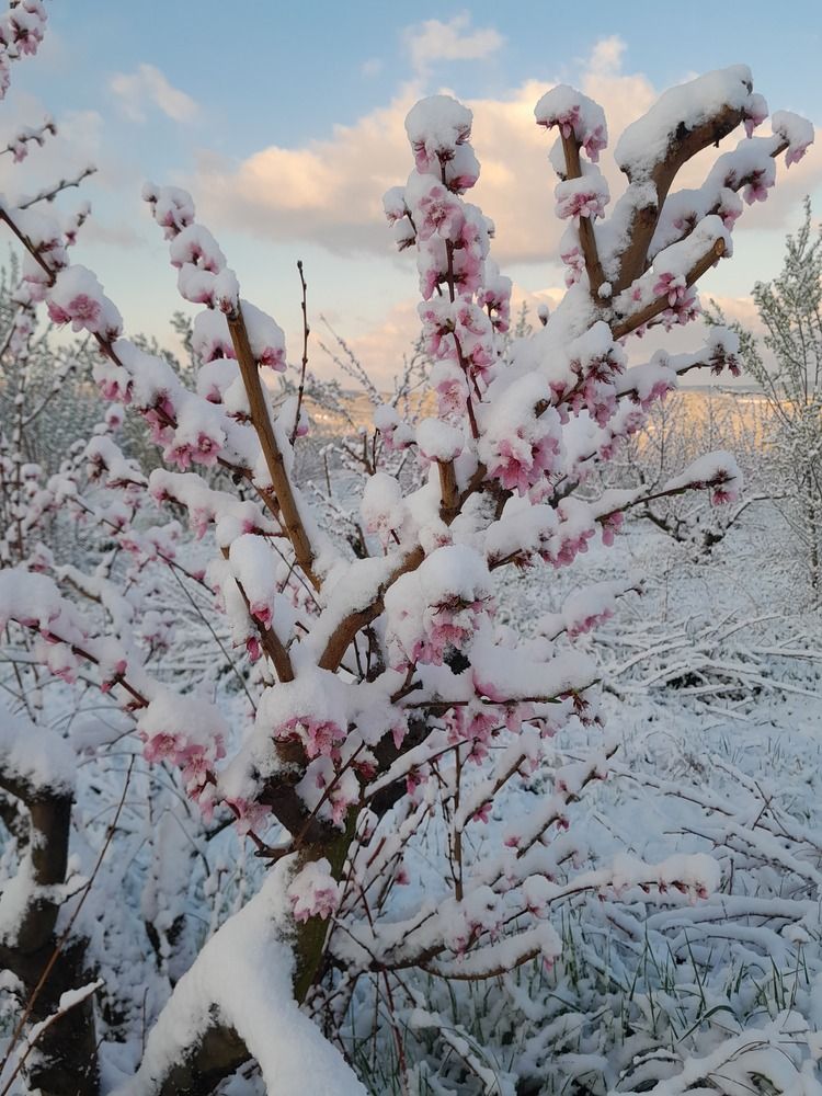 Красота не спасёт...