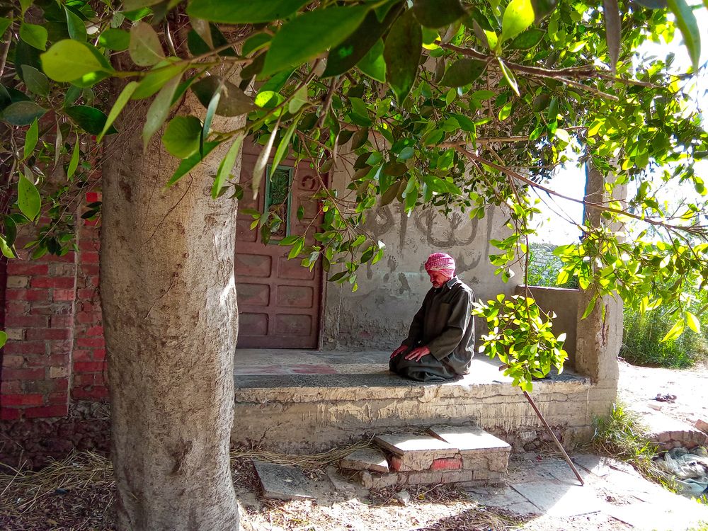 Photograph by على اشرف محمد عبد الجواد شعبان